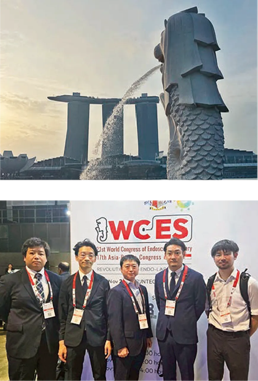 21st World Congress of Endoscopic Surgery in conjunction with the 17th Asia-Pacific Congress of ELSA に参加して